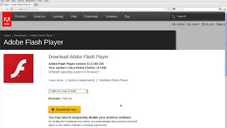 How To Download And Install Flash Player Easily [upl. by William]