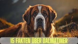 15 interessante Fakten über Bernhardiner 🐶 Ist der Bernhardiner die richtige Wahl für mich 🤔 [upl. by Attey319]