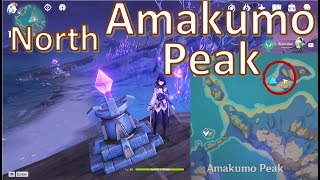 Relay Relay Puzzle At Amakumo Peak North [upl. by Aicilic]