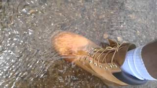 Bota timberland yellow boot 6 pol premium waterproof review [upl. by Linnea286]