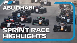 F2 Sprint Race Highlights  2022 Abu Dhabi Grand Prix [upl. by Sanoj]