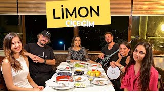 Aylin Demir  Limon Çiçeğim [upl. by Laresa]