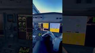 Embraer 195E1E2 pilot [upl. by Steffen]