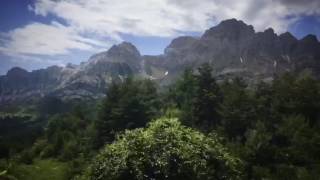 Fly fishing in Biescas  pyrenees [upl. by Edelsten958]