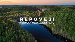 Repovesi National Park  Finland Aerials Drone 4K [upl. by Joseito]