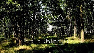 ROSSA 2  Pid dubinoju [upl. by Ayekat]