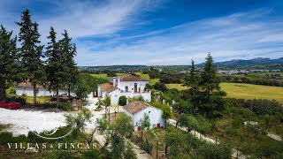 Authentic Cortijo ideal BampB or large family home for sale near Ronda Andalusia [upl. by Cupo93]