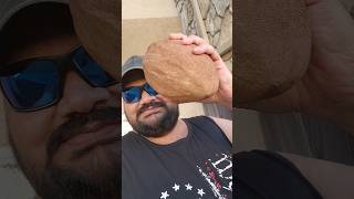 అమెరికాలో 15 kg Sapota Mamey sapote in USA అంత తియ్యగా అయితే ఏమీలేదు sweet potato taste undi [upl. by Liederman]