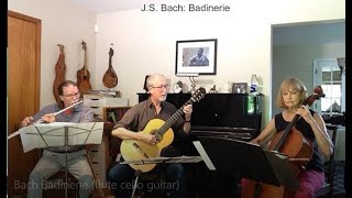 Bach Badinerie flute cello guitar [upl. by Krissie]