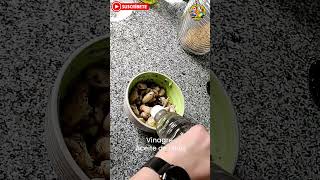 Porotos Al Escabeche 20  facilyrapido food enunminuto recipe viral casera [upl. by Sewellyn]