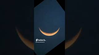 All moon phases timelapse moon astrophotography telescope [upl. by Hayman]