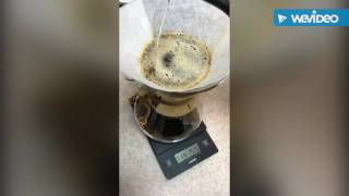 Chemex recipe [upl. by Oflodor]