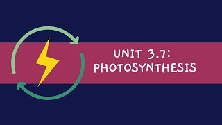 Unit 37 Photosynthesis [upl. by Yspyg]