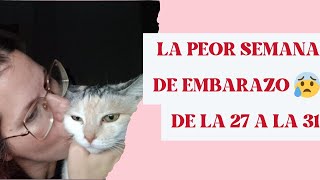 La PEOR semana de embarazo 😰 Urgencias ardores semana 27 a 31🤰embarazo semana a semana embarazo [upl. by Samohtnhoj441]