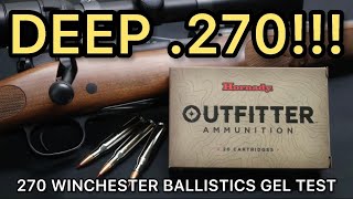 WILDLY INACCURATE 270 Winchester Hornady Outfitter 130gr CX Ammo Test [upl. by Wollis]