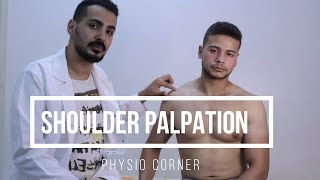 sternocleidomastoid MUSCLE PALPATION [upl. by Coit]