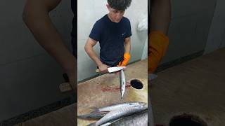 Barracuda Easy Cutting fish [upl. by Slotnick957]