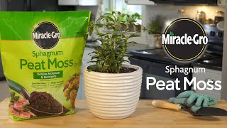 How to Grow Stronger Roots in Plants Using MiracleGro® Sphagnum Peat Moss [upl. by Rutra]