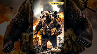 Wojtek the Bear The Soldier Who Fought in WWII facts shorts [upl. by Musa601]