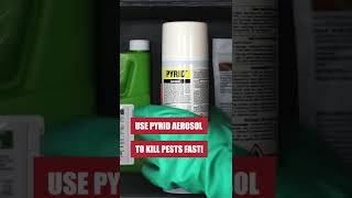 Kill Bugs Like Cockroaches amp Wasps Fast with Pyrid Insecticide Aerosol [upl. by Ahsoem]