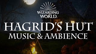 Harry Potter Music amp Ambience  Hagrids Hut [upl. by Arriaes]