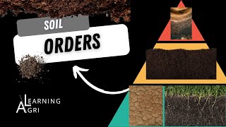 Soil Orders and the Hierarchy of Soil Taxonomy [upl. by Housum673]