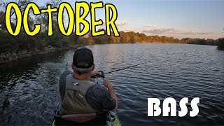 Best Baits For Fall Bass Fishing October Favorites [upl. by Cayla926]