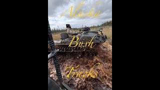 quotArgo 8x8 Conquers Alaska Backcountry  Alaska Bush Tracks 2024 Adventurequot [upl. by Aicetel275]