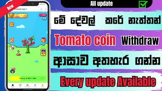 TOMATO New update sinhala  Specials giveaway video  Tomato Airdrop  Tomato withdraw sinhala [upl. by Galloway]