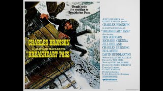 Borderline  Charles Bronson  1980  Full Movie  ACTION MOVIE [upl. by Esoj]