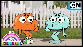 Whos The Real Darwin  Gumball  Cartoon Network [upl. by Yslehc836]