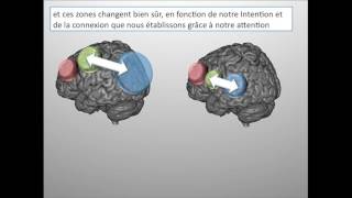 Le Cerveau Funambule 23  Pouce Index Majeur [upl. by Camellia]