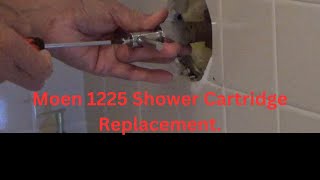 Replacing Moen 1225 Cartridge for Single Handle ShowersFaucets [upl. by Myranda221]