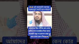 gazal gozol gojol bangla gazal Islamic gazal bangla gojol gojol bangla bangla Islamic gojol [upl. by Annoid977]