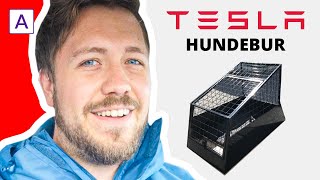 SPESIALTILPASSET HUNDEBUR TIL MIN TESLA MODEL S [upl. by Riedel35]