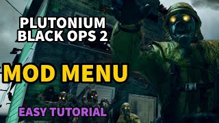 plutonium mod menu aimbotwallhack [upl. by Bej257]