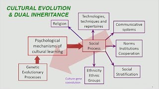 Joe Henrich Cultural Evolution and Dual Inheritance [upl. by Ranite992]