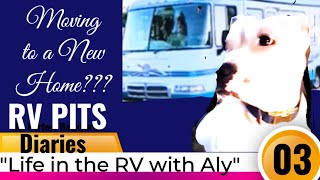 RV Pits Diaries 3  quotLife in the RV with Aly the Pitquot [upl. by Mcdermott]