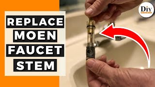 How to Replace the 1225 MOEN Faucet Cartridge  How to Fix a Leaky Moen Faucet [upl. by Nimaj735]