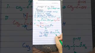 Mechanism of formation of ester organic chemistry class 12 [upl. by Dawn]