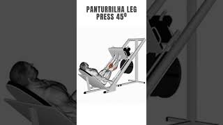 panturrilha leg press 45º [upl. by Methuselah710]