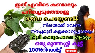 100Natural Hair Dye ഡൈ ചെയ്യേണ്ട എത്ര നരച്ചമുടിയും കട്ടക്കാറുപ്പാക്കുംമുടി കാടുപോലെ വളരും [upl. by Eniac]