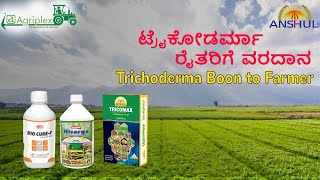 Trichoderma boon to farmer  ಟ್ರೈಕೋಡರ್ಮಾ ರೈತರಿಗೆ ವರದಾನ [upl. by Geraldina]