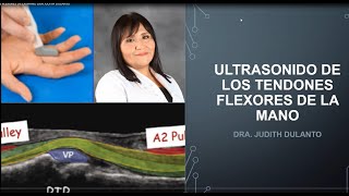 TENDONES FLEXORES DE LA MANO  DRA JUDITH DULANTO [upl. by Ban176]