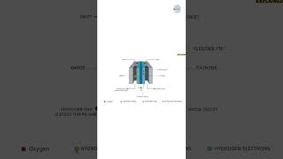 How do Hydrogen Fuel Cells work  Explained by SkillLync shorts [upl. by Jasmin]