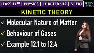 Class 11th Physics  Molecular Nature of Matter  Behaviour of Gases  Example 121 to 124 [upl. by Sirromed455]