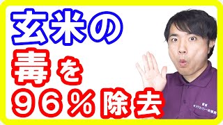 【玄米危険性】玄米のフィチン酸を96％減少させ美味しくする方法！浸水・発芽・発酵玄米の違いとは【English sub・全文字幕】 [upl. by Wei321]