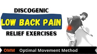 Lower Back Pain  Discogenic Back Pain Exercises [upl. by Eimar168]