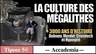 Les Civilisations Oubliées épisode 1  La Culture des Mégalithes [upl. by Ainahpets]