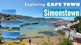 Exploring Cape Town  Simonstown walk about [upl. by Starlene]